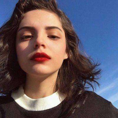 AOA体育登录入口app下载