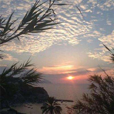 ob体育最新官网