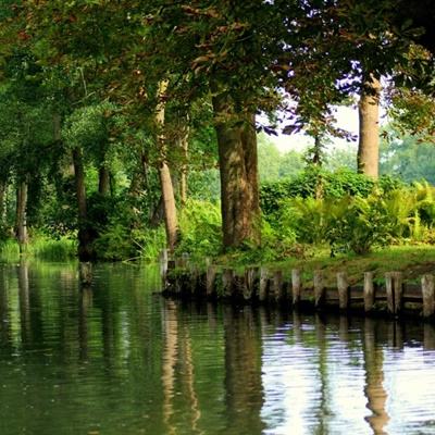 bd半岛·体育中国官方网站