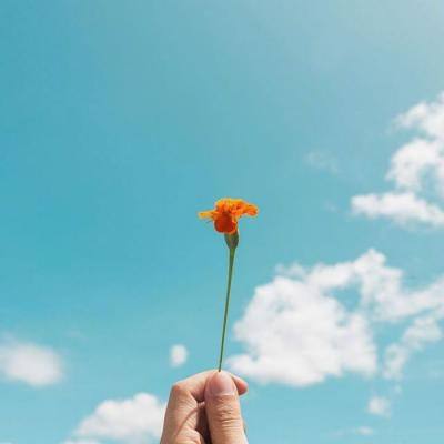 威尼斯会员登录