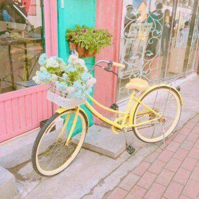 大众彩票入口welcome手机app下载截图