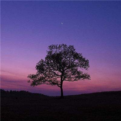 体育电竞押注网站大全