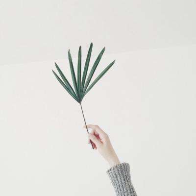 大四喜下载手机版