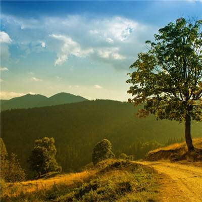 熊猫娱乐appapp下载