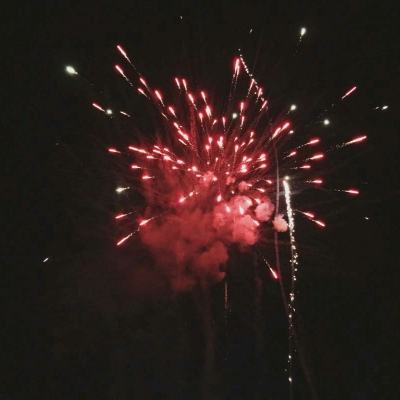 澳门4949资料免费大全app下载