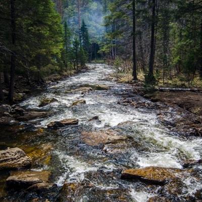 环球体育登录平台